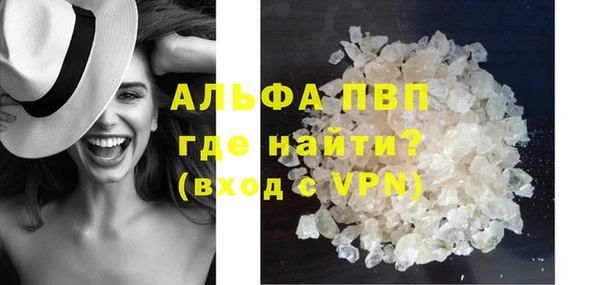 дмт Гусев