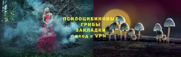MESCALINE Гусь-Хрустальный