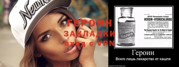 дмт Гусев