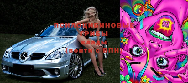 дмт Гусев