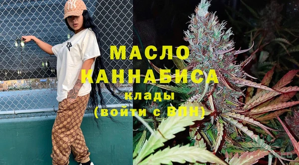 дмт Гусев