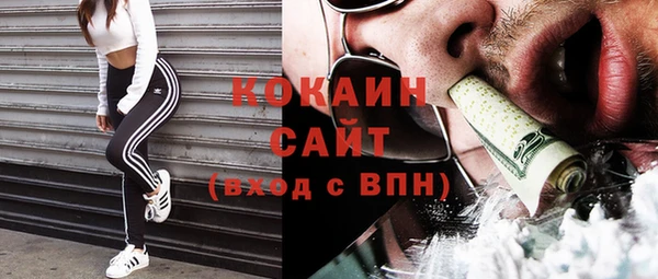 дмт Гусев