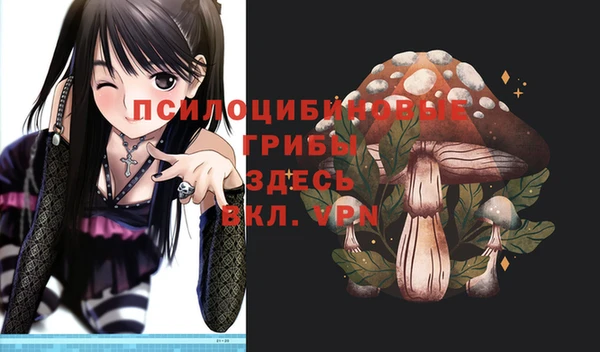 MESCALINE Гусь-Хрустальный