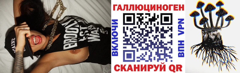 Купить  Фатеж  Псилоцибиновые грибы прущие грибы 